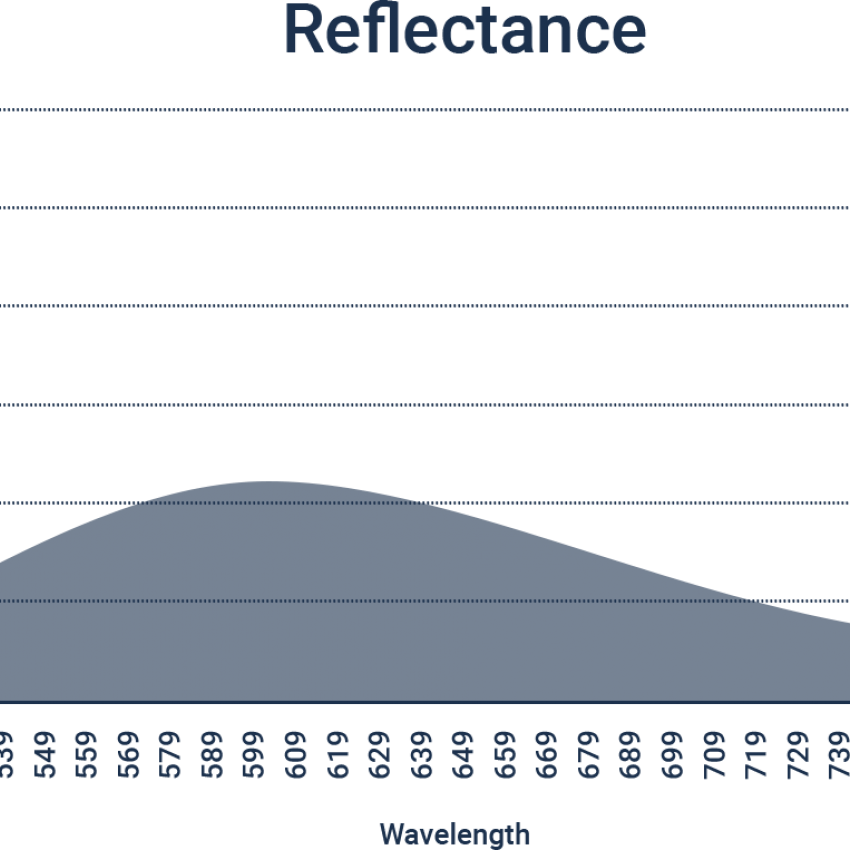 Reflection of Coating 